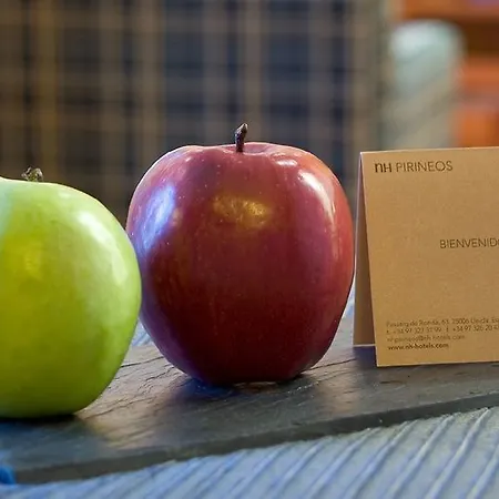 Nh Pirineos Hotel