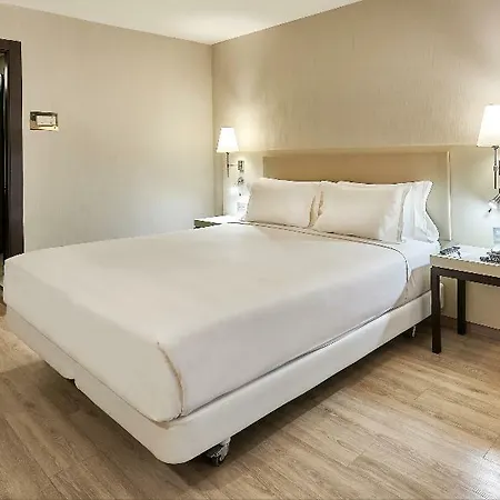 Nh Pirineos Hotel 4*
